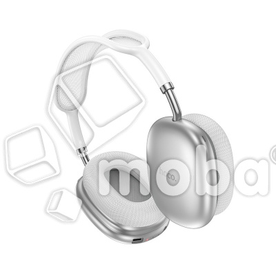 HF-BLT-HCO-W55-PLS-SL_2